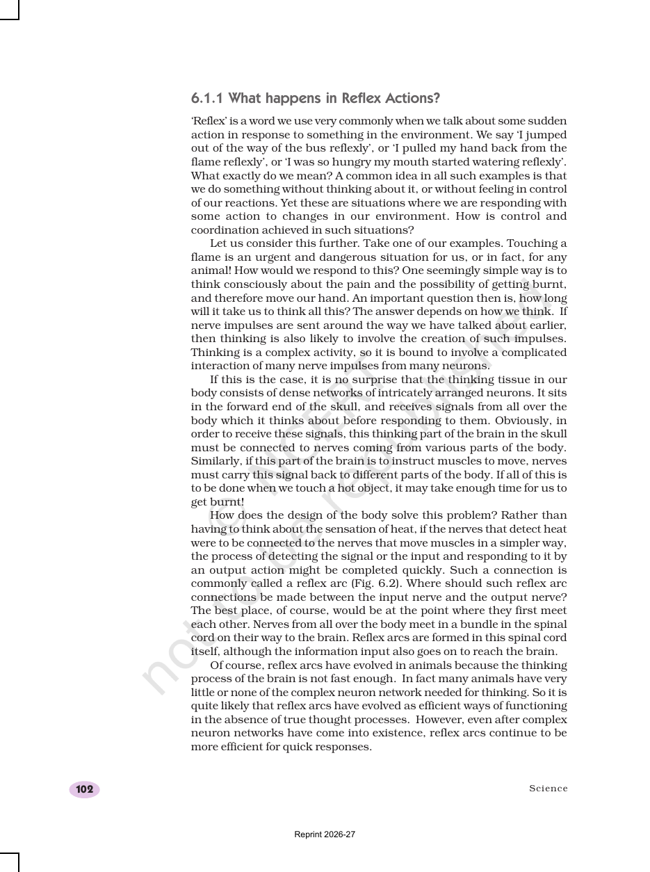 Page 3 of Control and Coordination