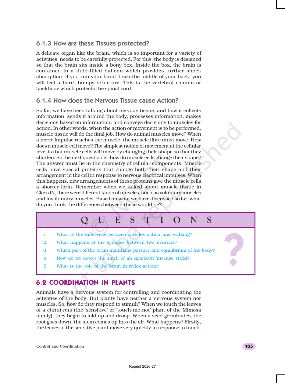 Page 6 of Control and Coordination