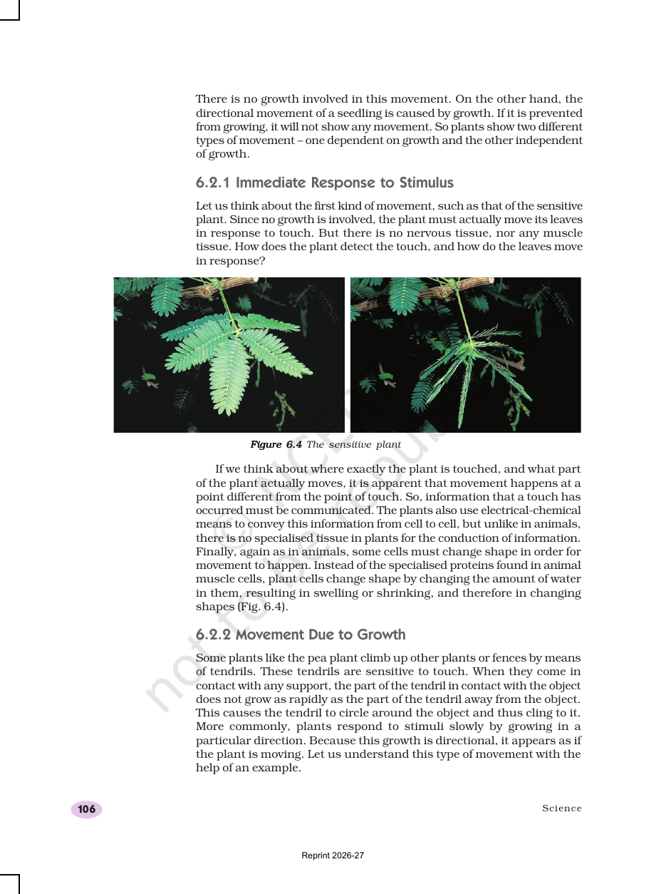 Page 7 of Control and Coordination