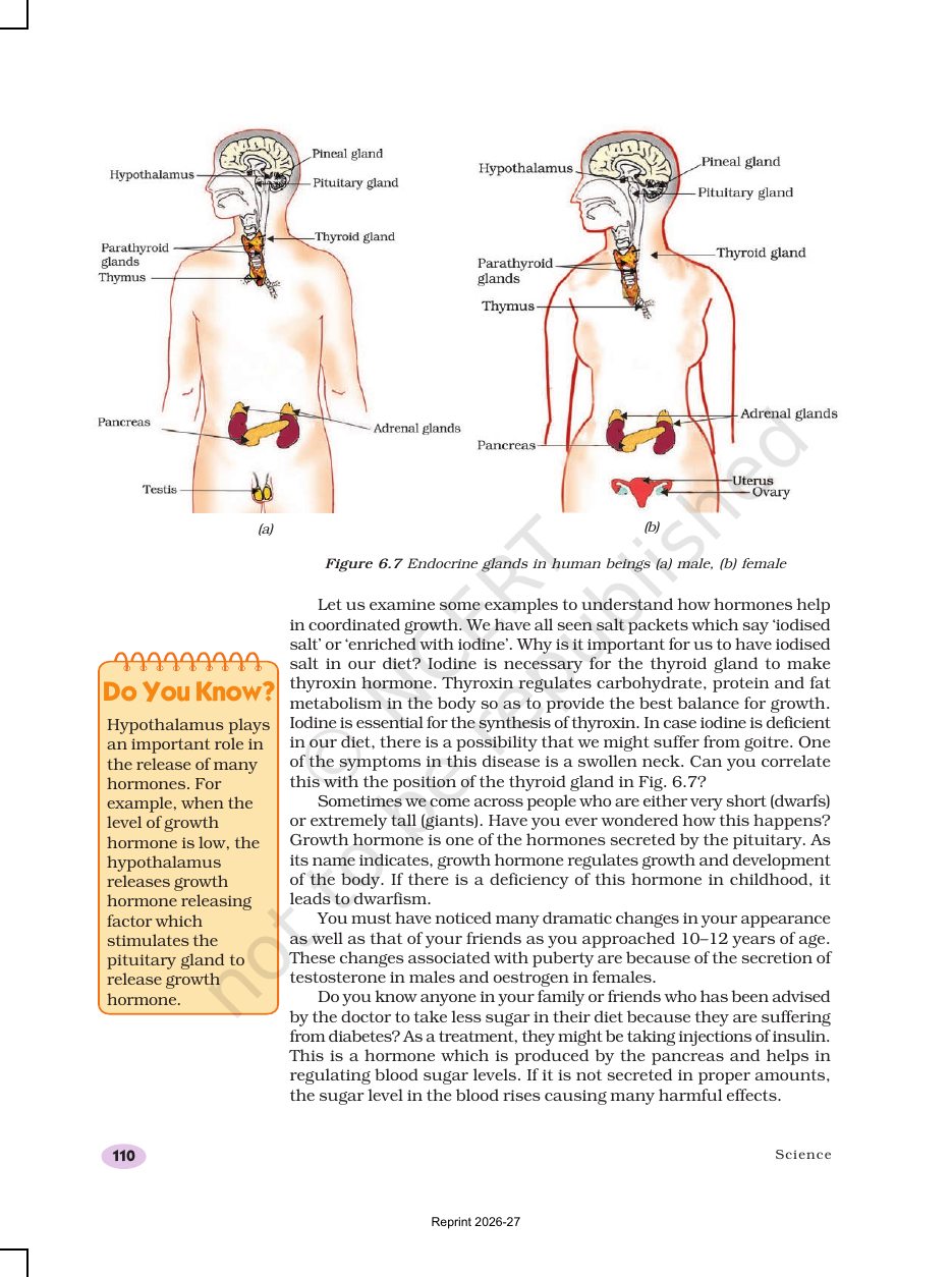 Page 11 of Control and Coordination