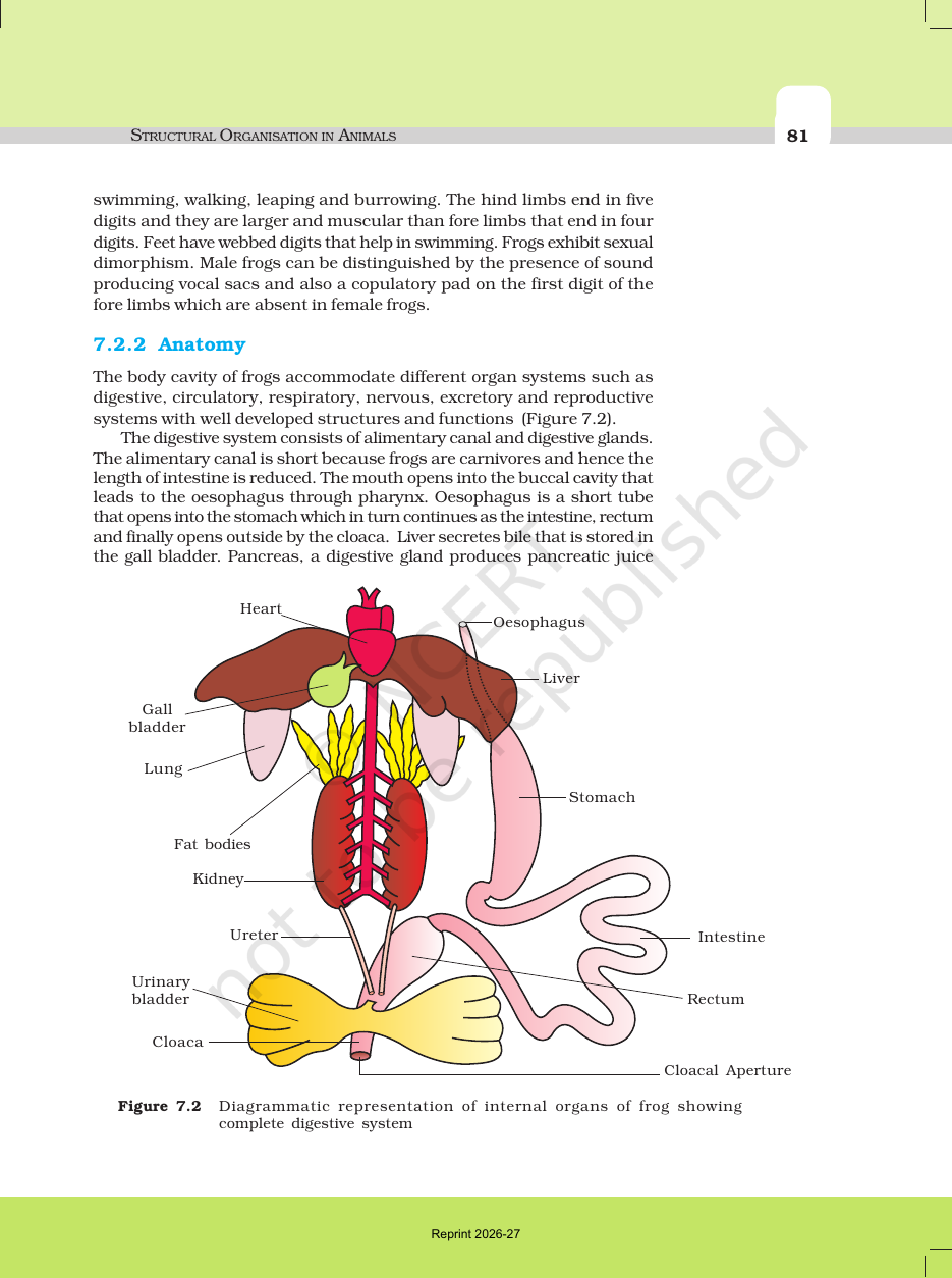 Page 3 of Structural Organisation in Animals