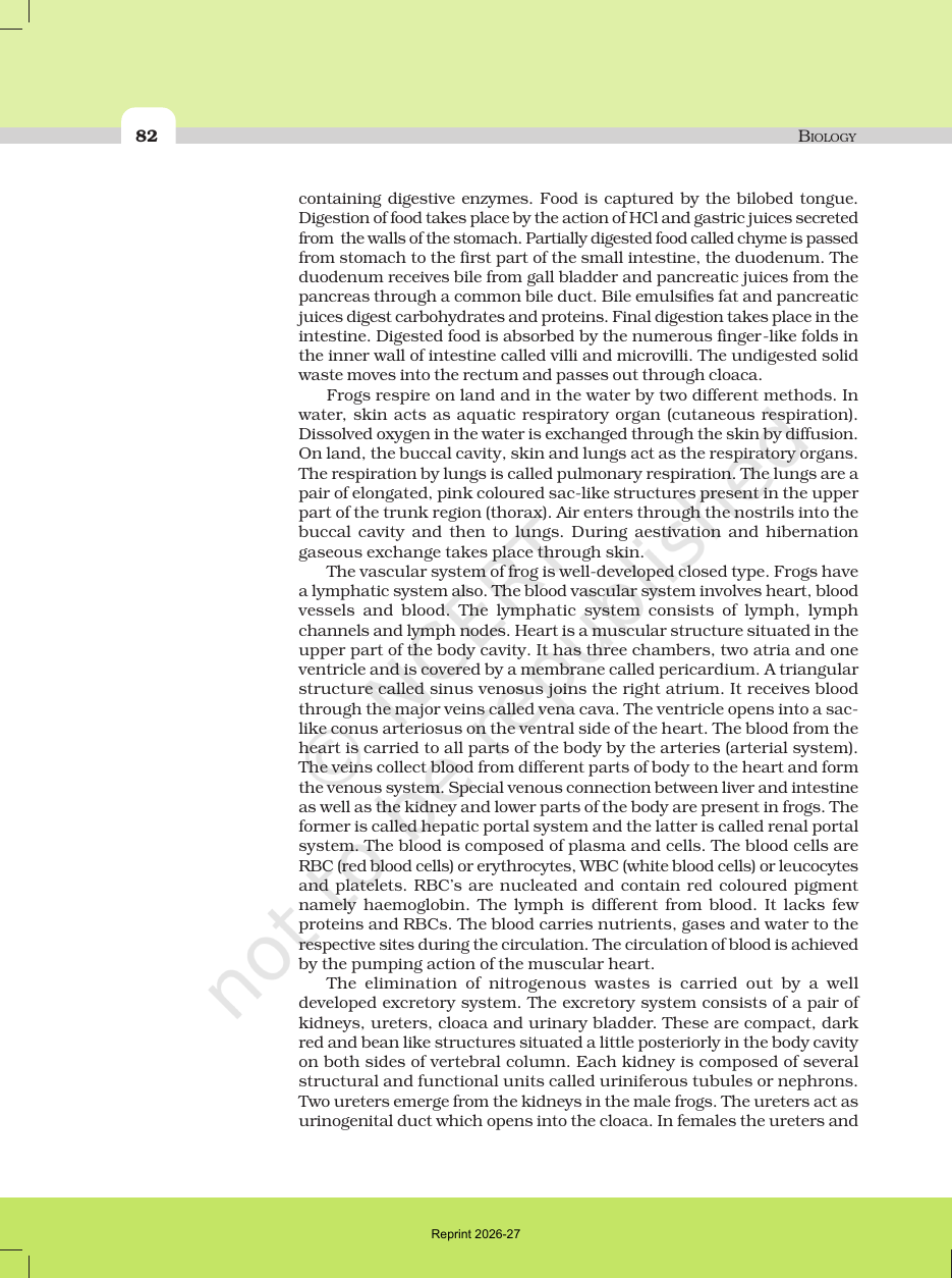 Page 4 of Structural Organisation in Animals