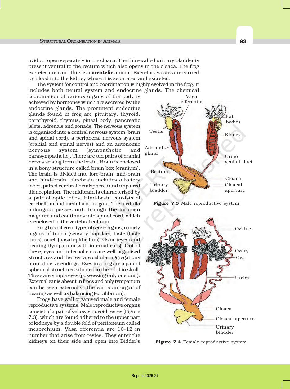 Page 5 of Structural Organisation in Animals