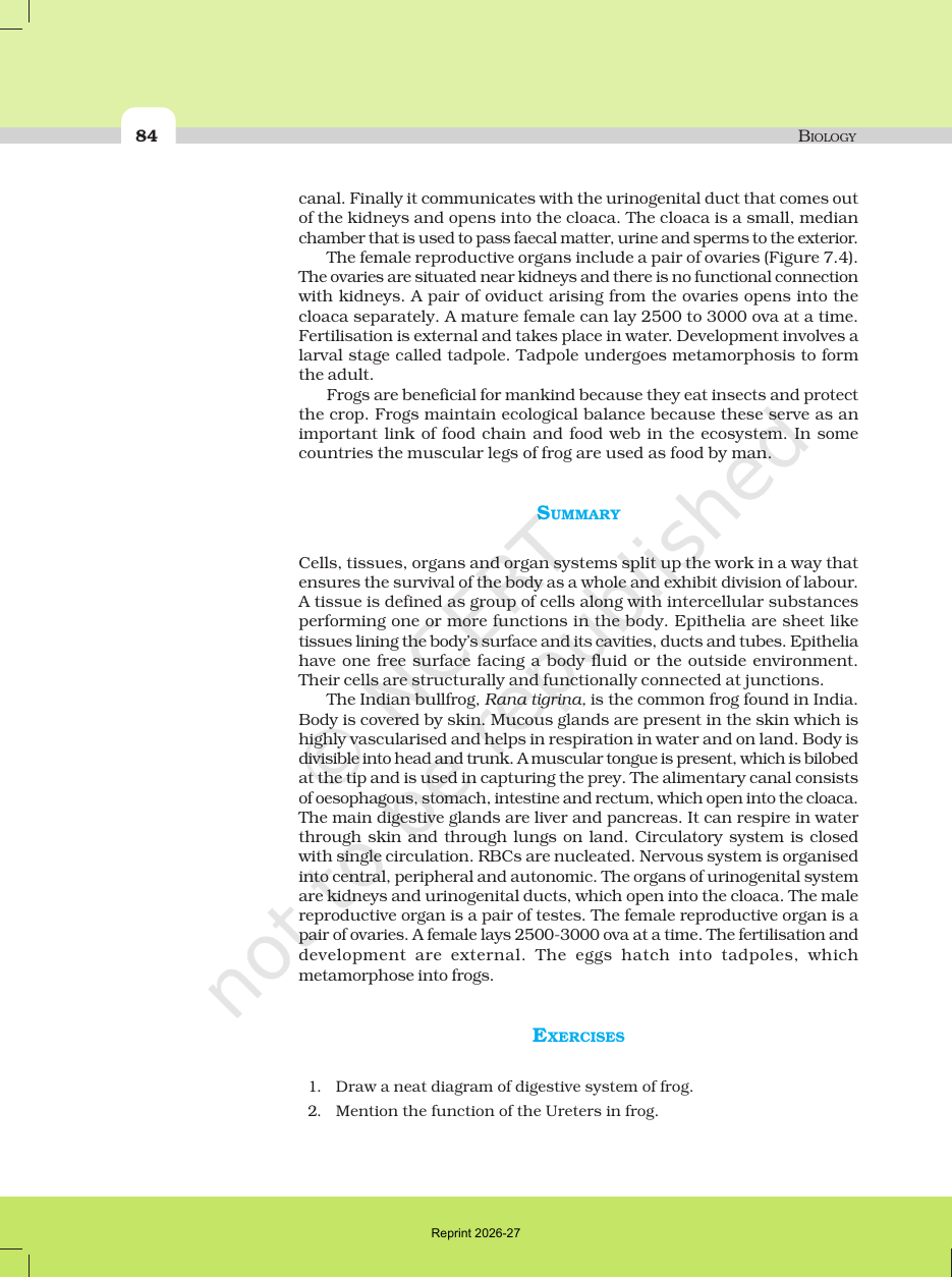 Page 6 of Structural Organisation in Animals