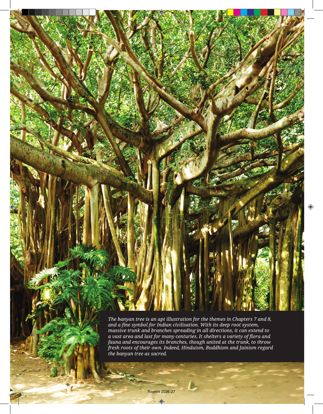 Page 20 of India's Cultural Roots