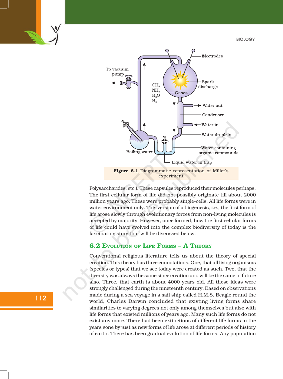 Page 3 of Evolution
