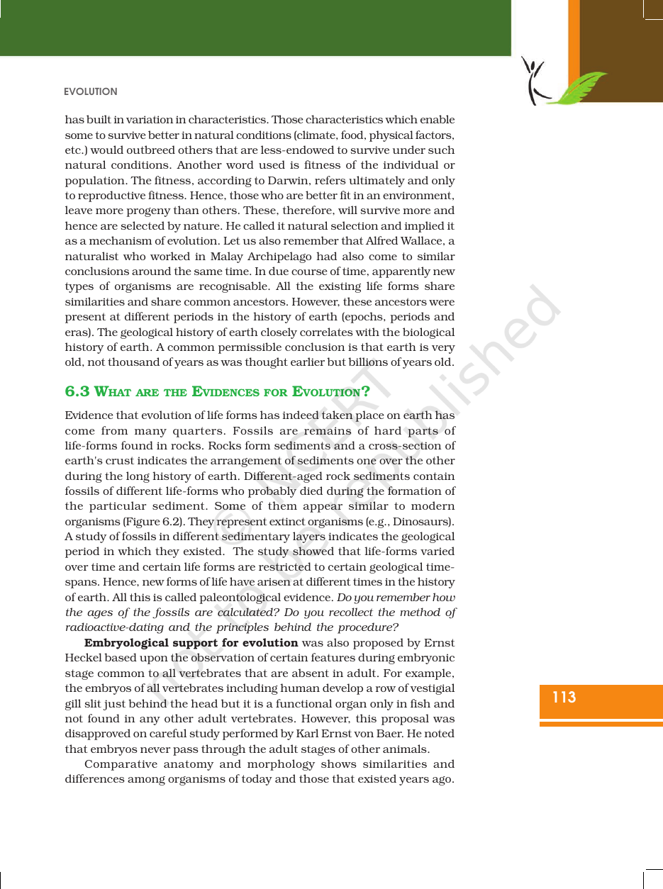 Page 4 of Evolution