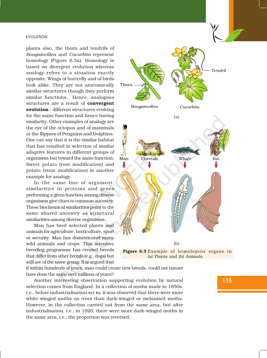 Page 6 of Evolution