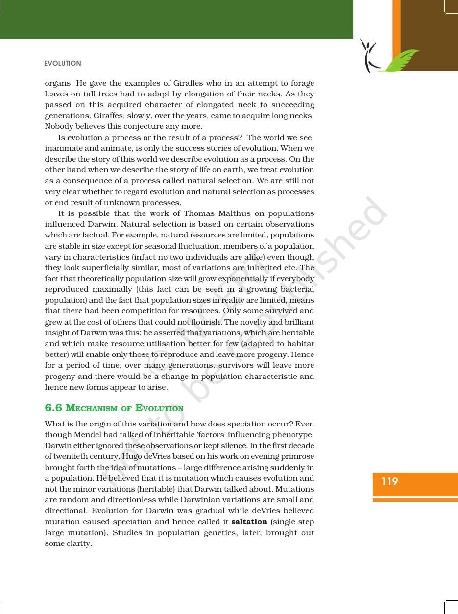 Page 10 of Evolution