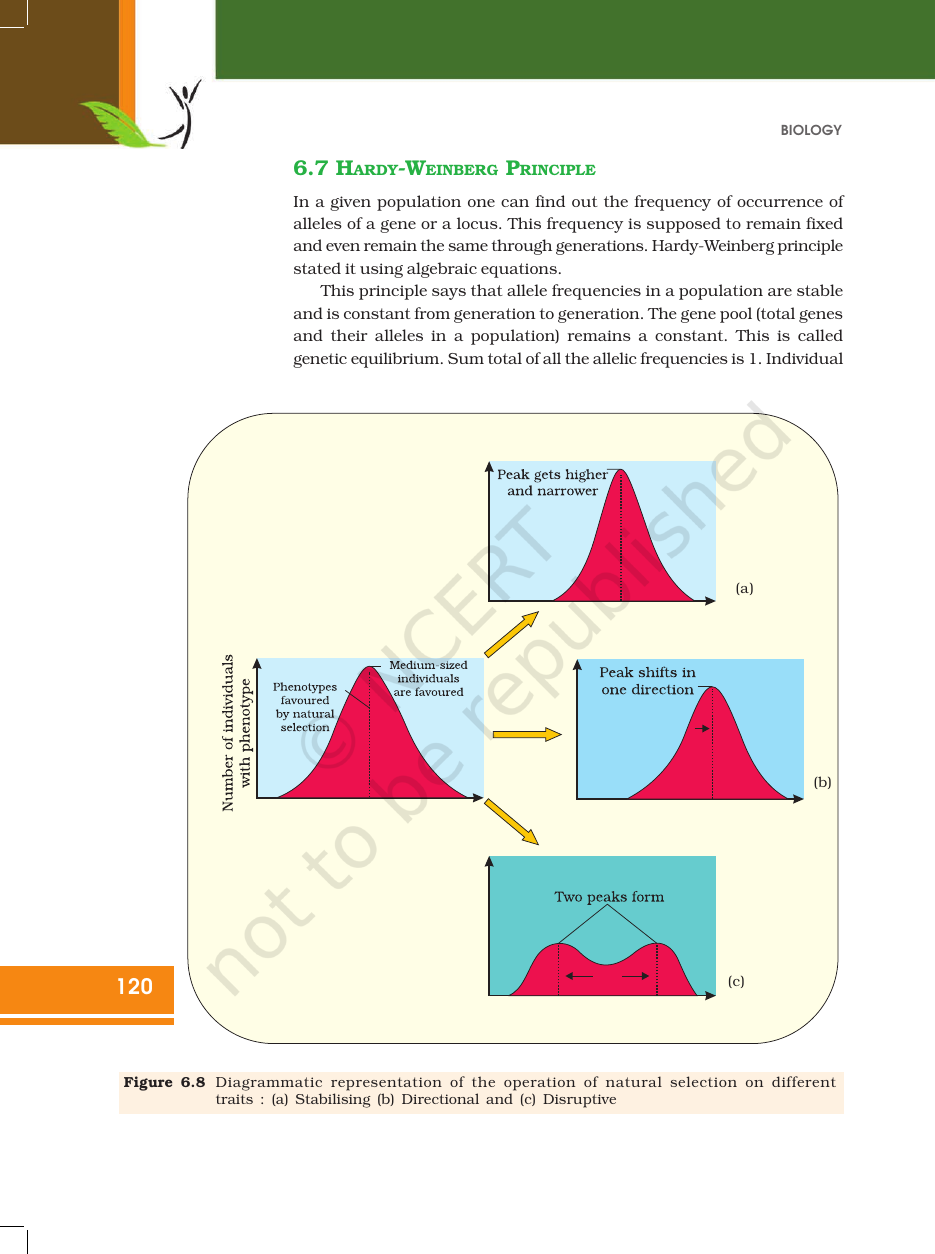 Page 11 of Evolution