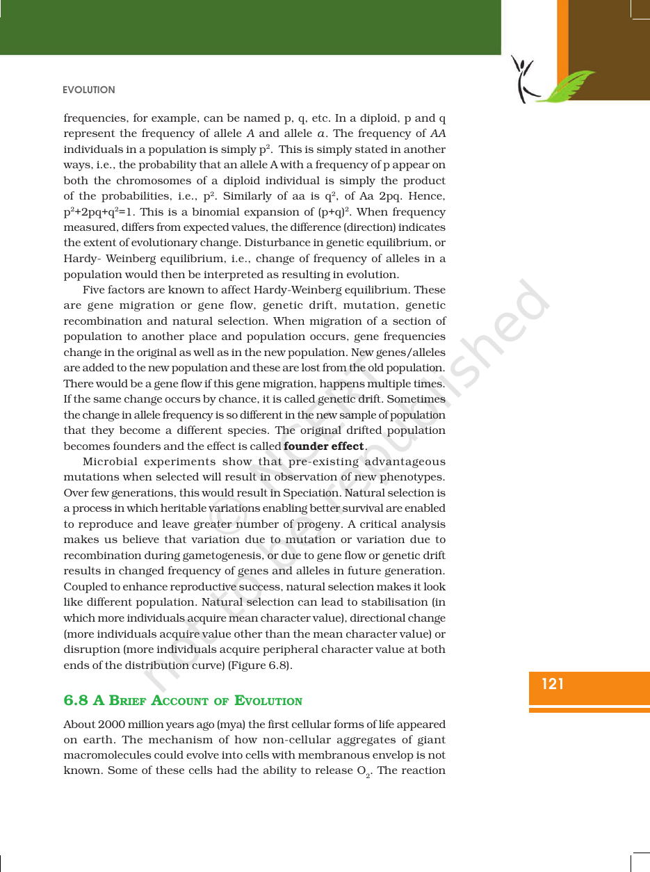 Page 12 of Evolution