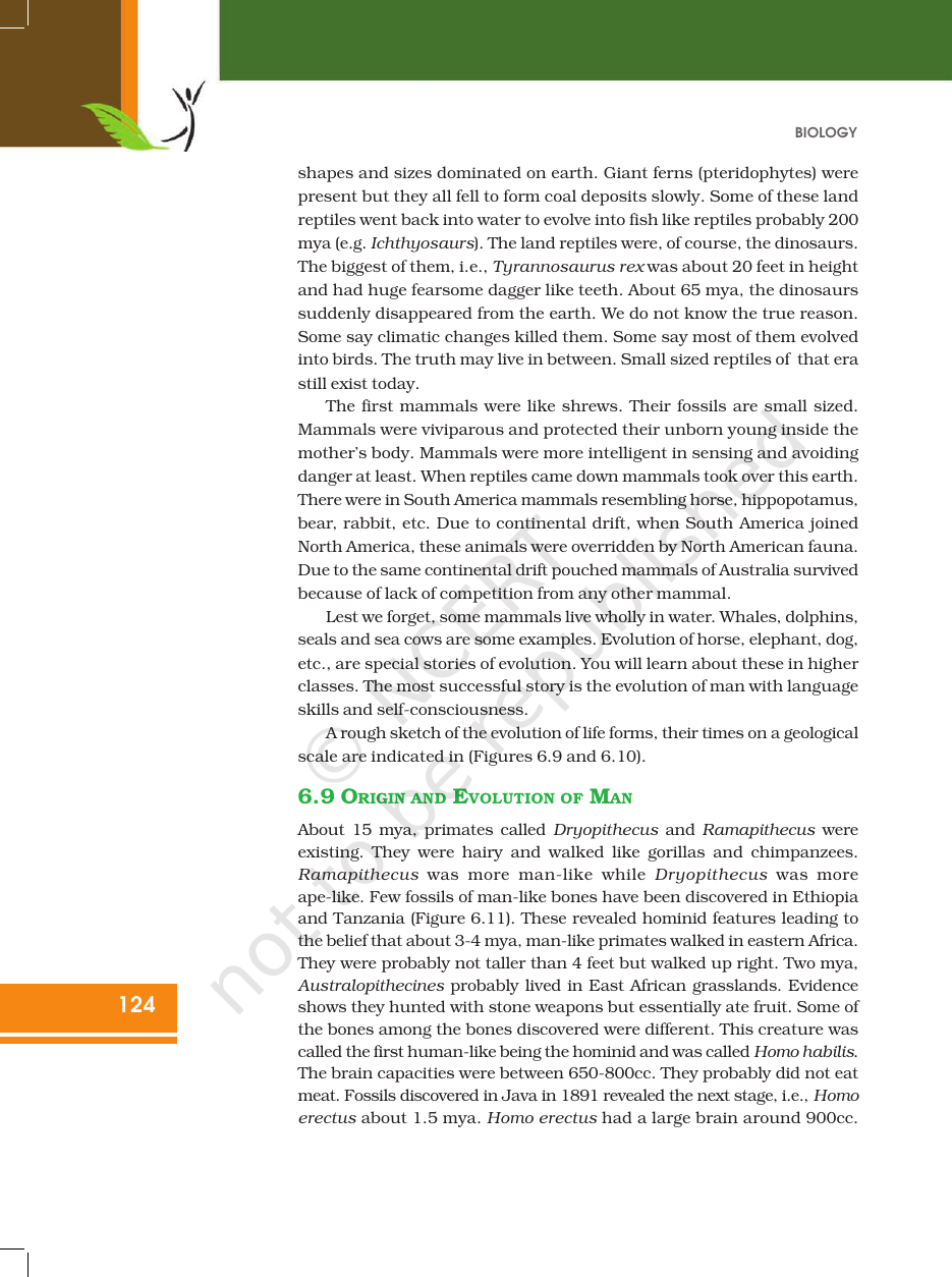 Page 15 of Evolution