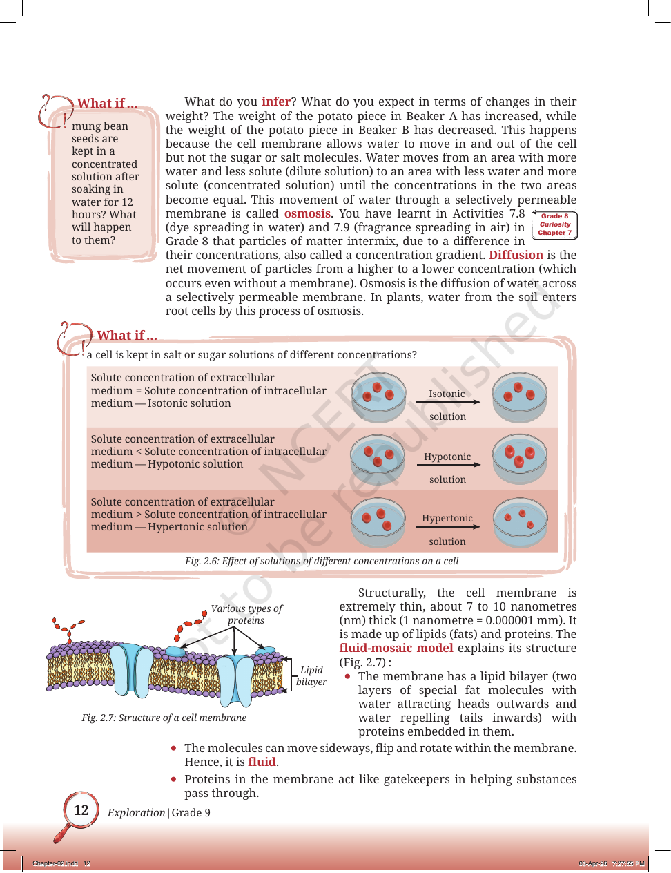Page 5 of Is Matter Around Us Pure
