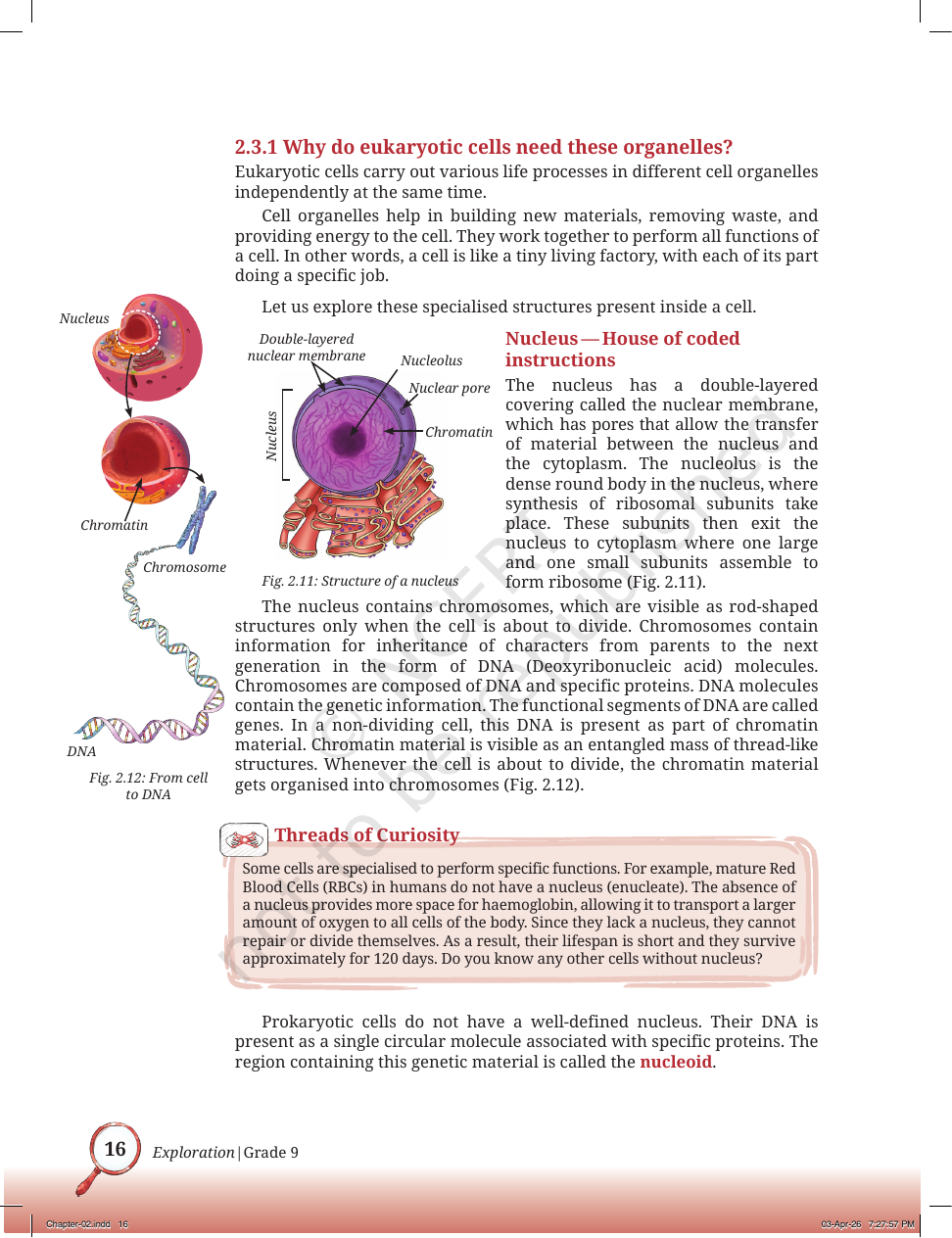 Page 9 of Is Matter Around Us Pure