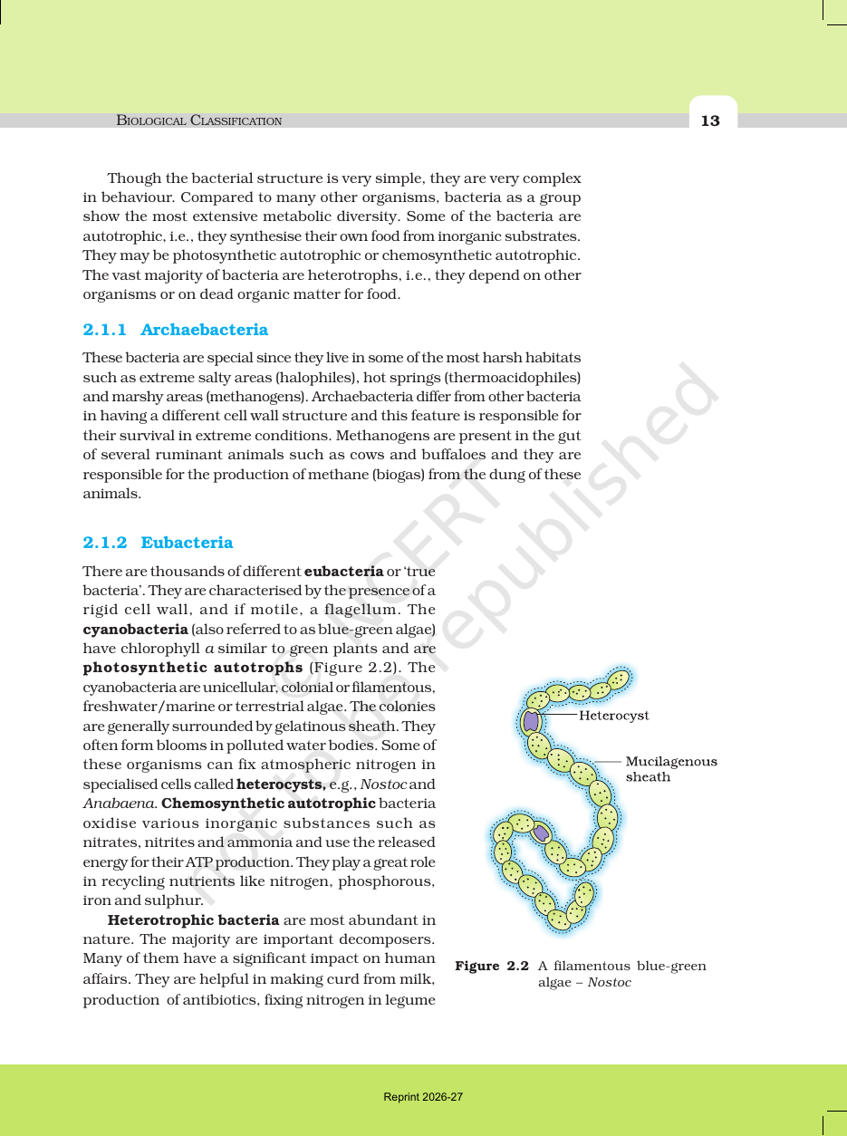 Page 4 of Biological Classification