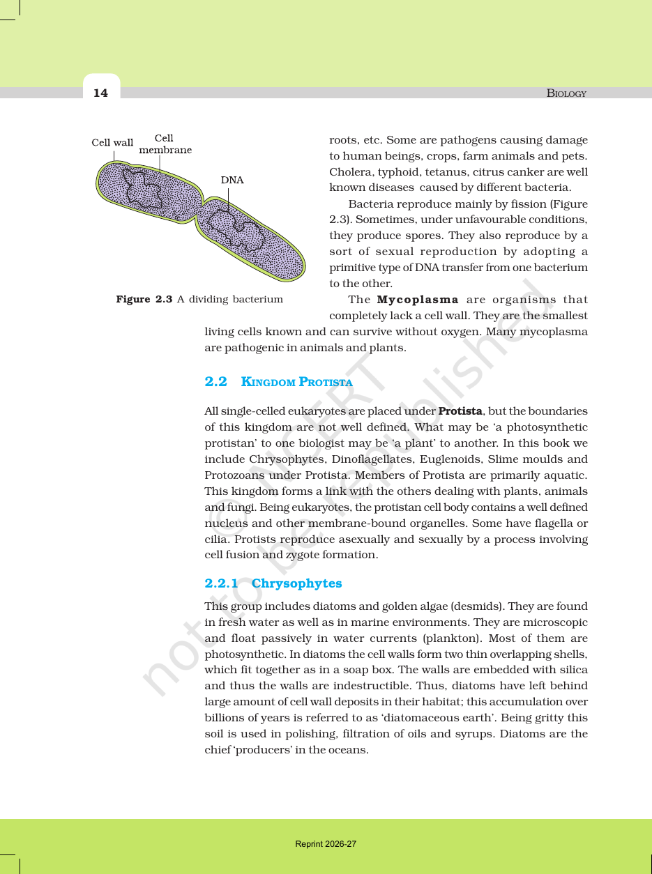 Page 5 of Biological Classification