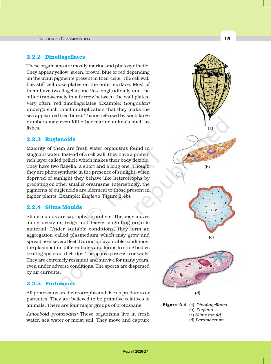 Page 6 of Biological Classification