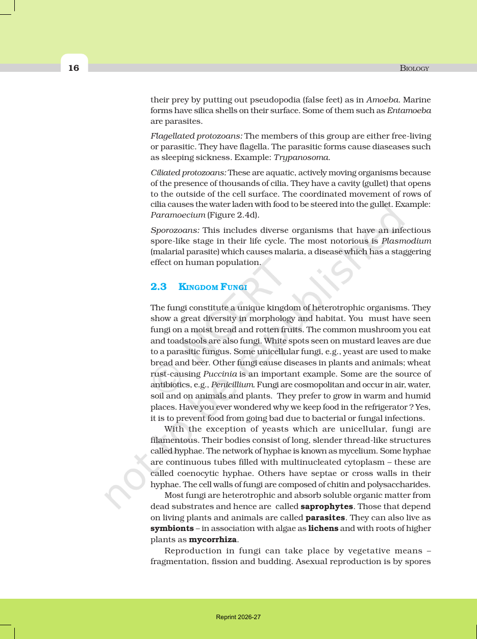 Page 7 of Biological Classification