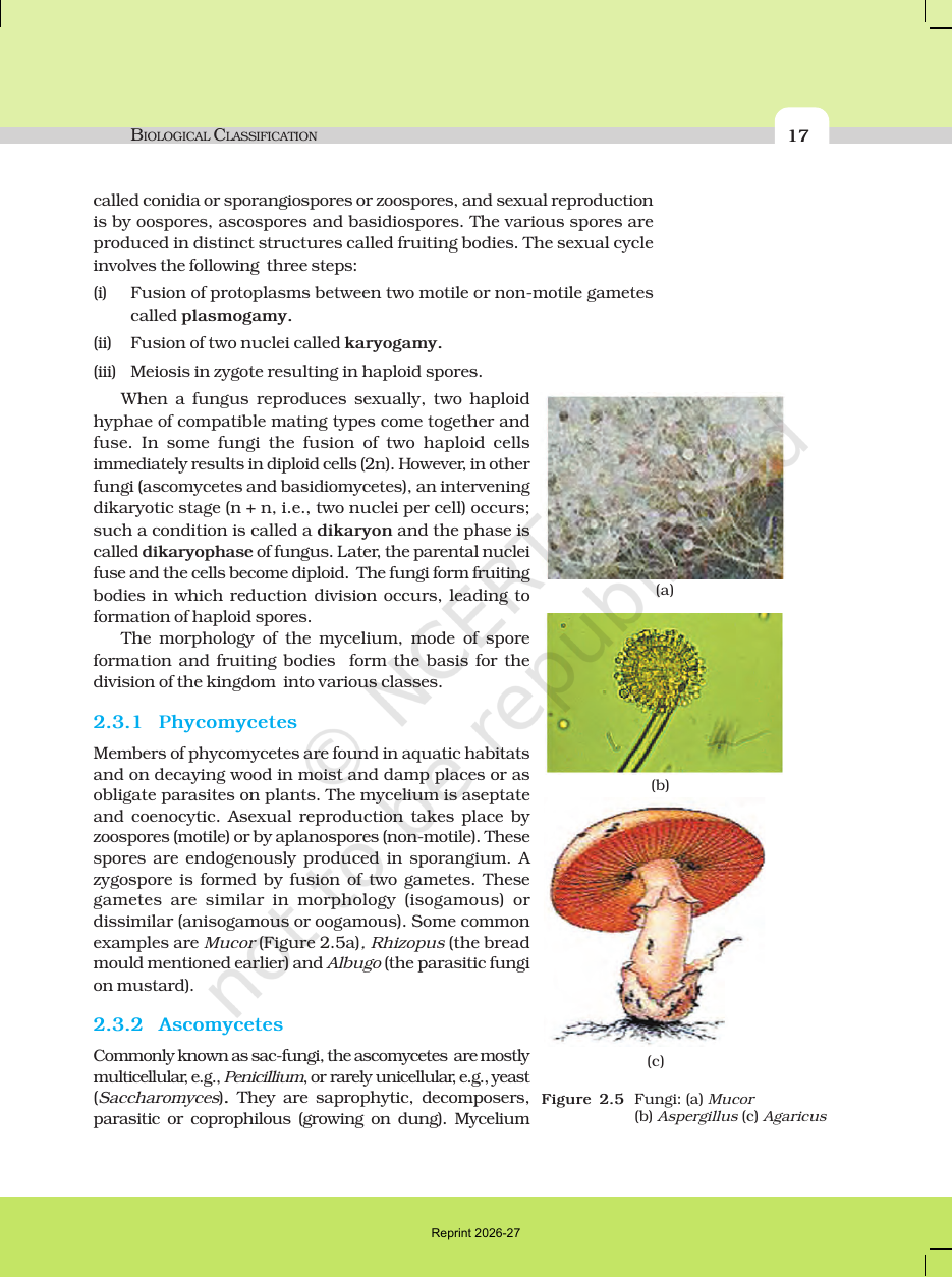 Page 8 of Biological Classification