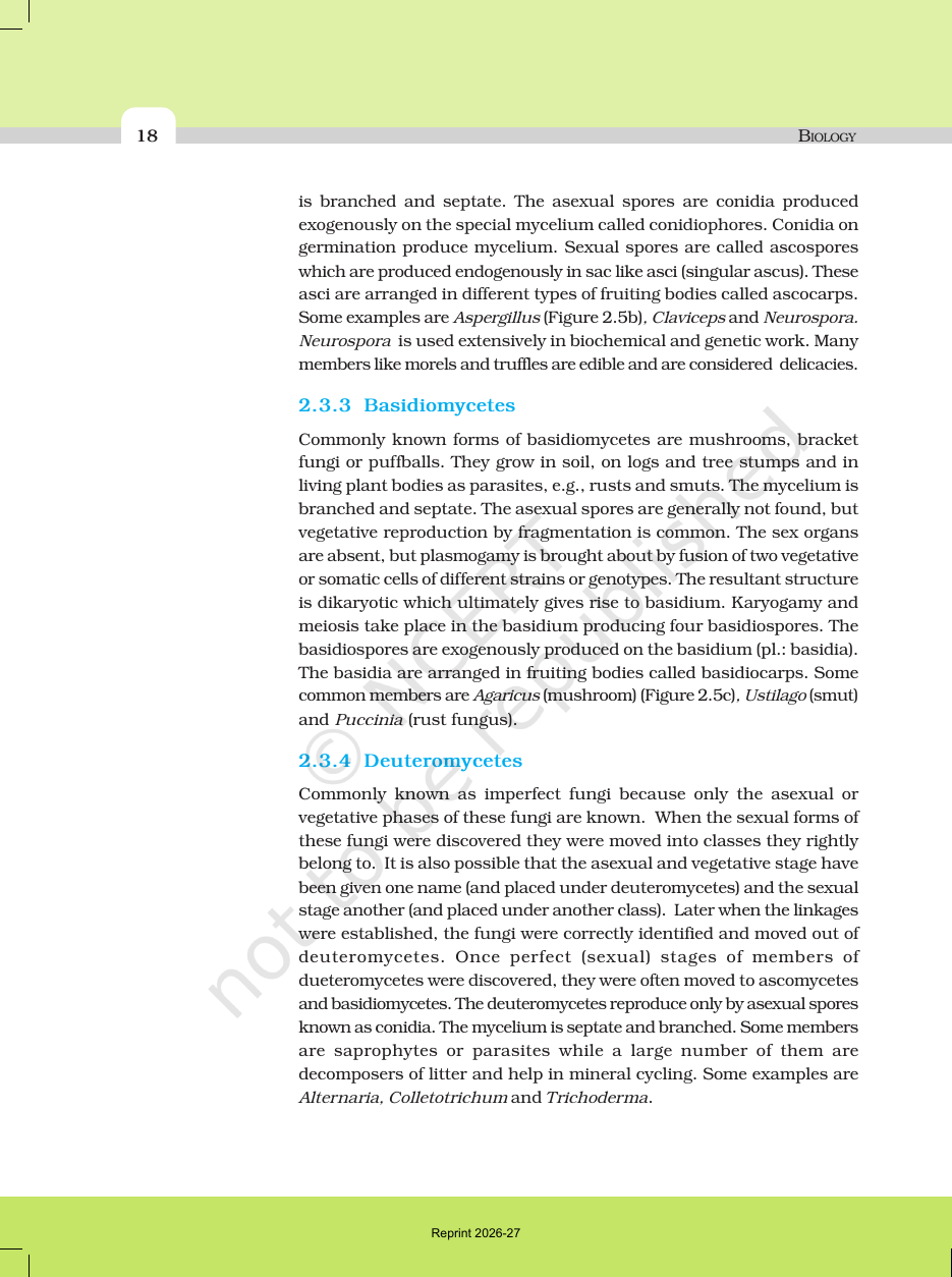 Page 9 of Biological Classification