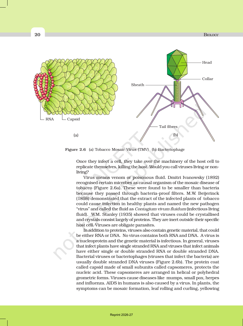 Page 11 of Biological Classification