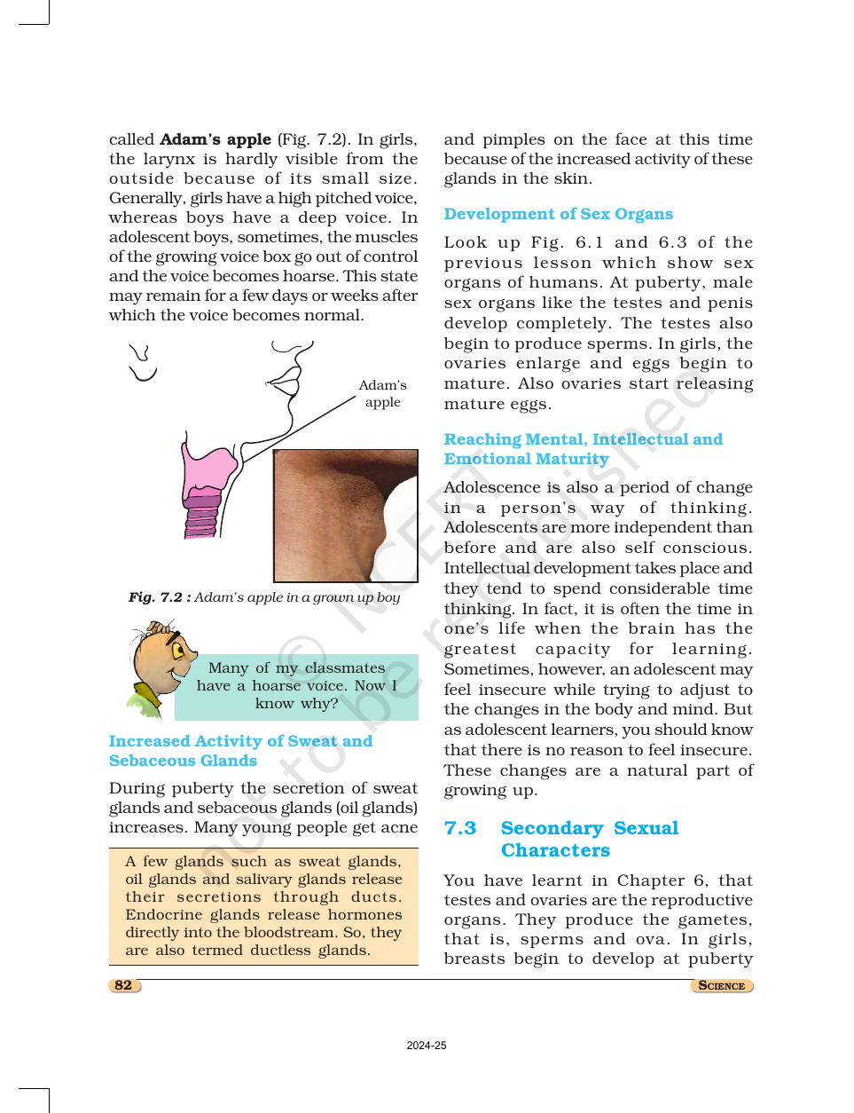 Page 4 of Reaching the Age of Adolescence