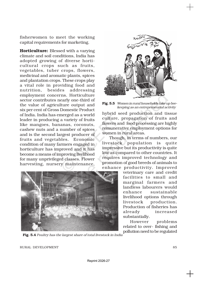 Page 11 of Rural Development