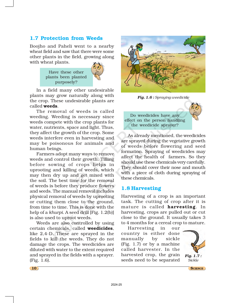 Page 10 of Crop Production and Management