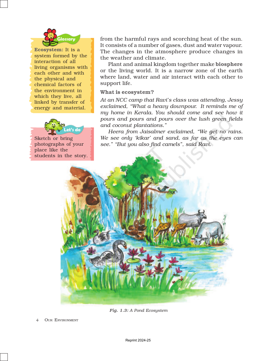 Page 4 of Environment