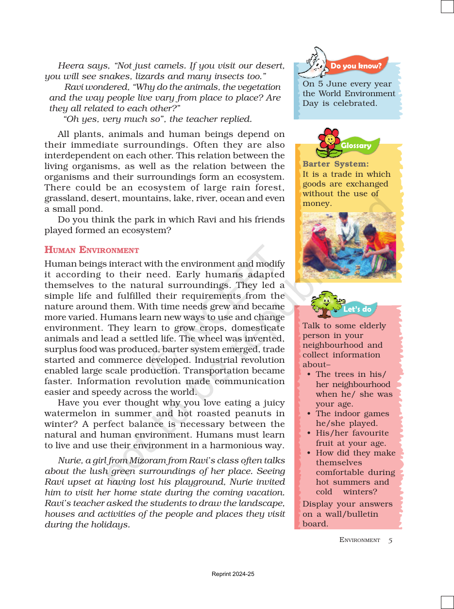 Page 5 of Environment