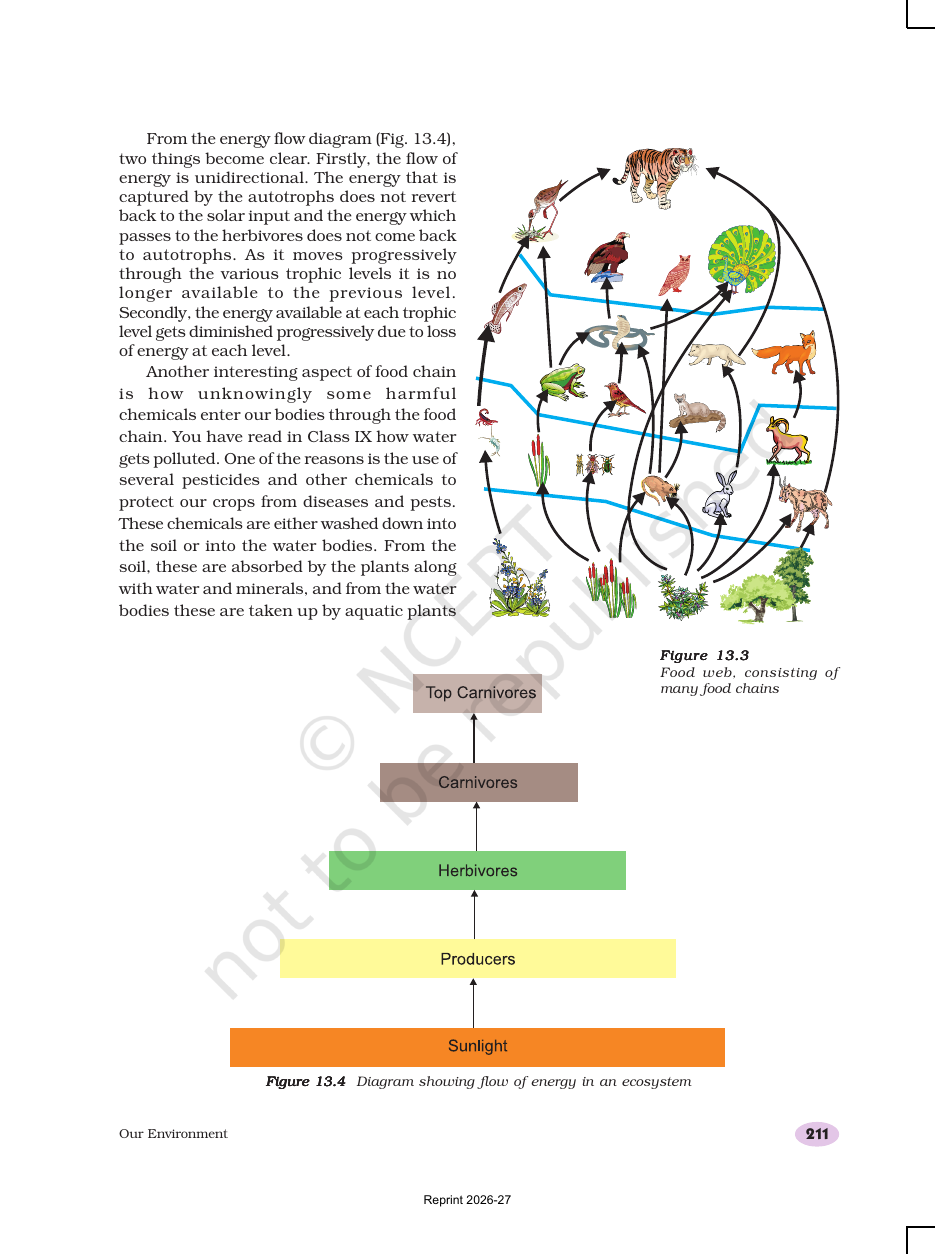 Page 4 of Our Environment