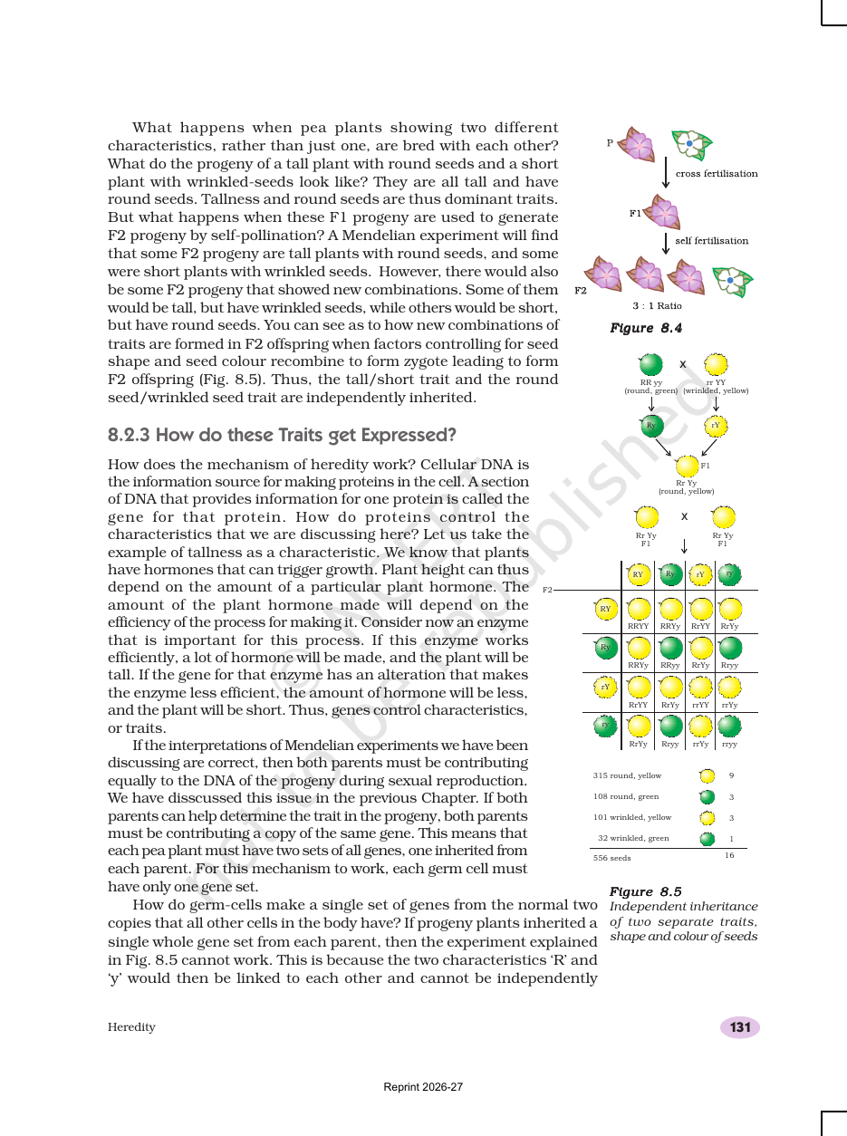 Page 4 of Heredity