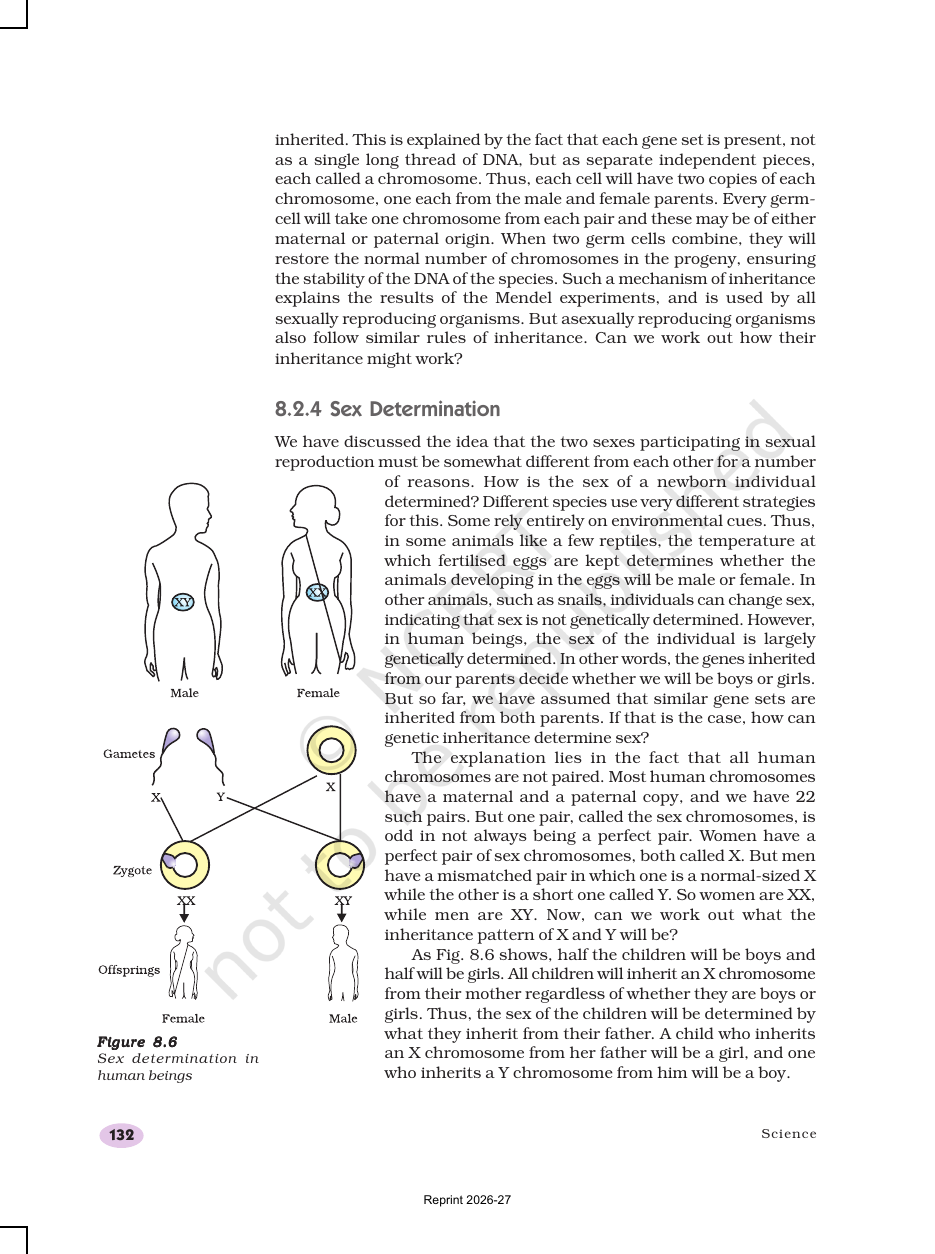 Page 5 of Heredity