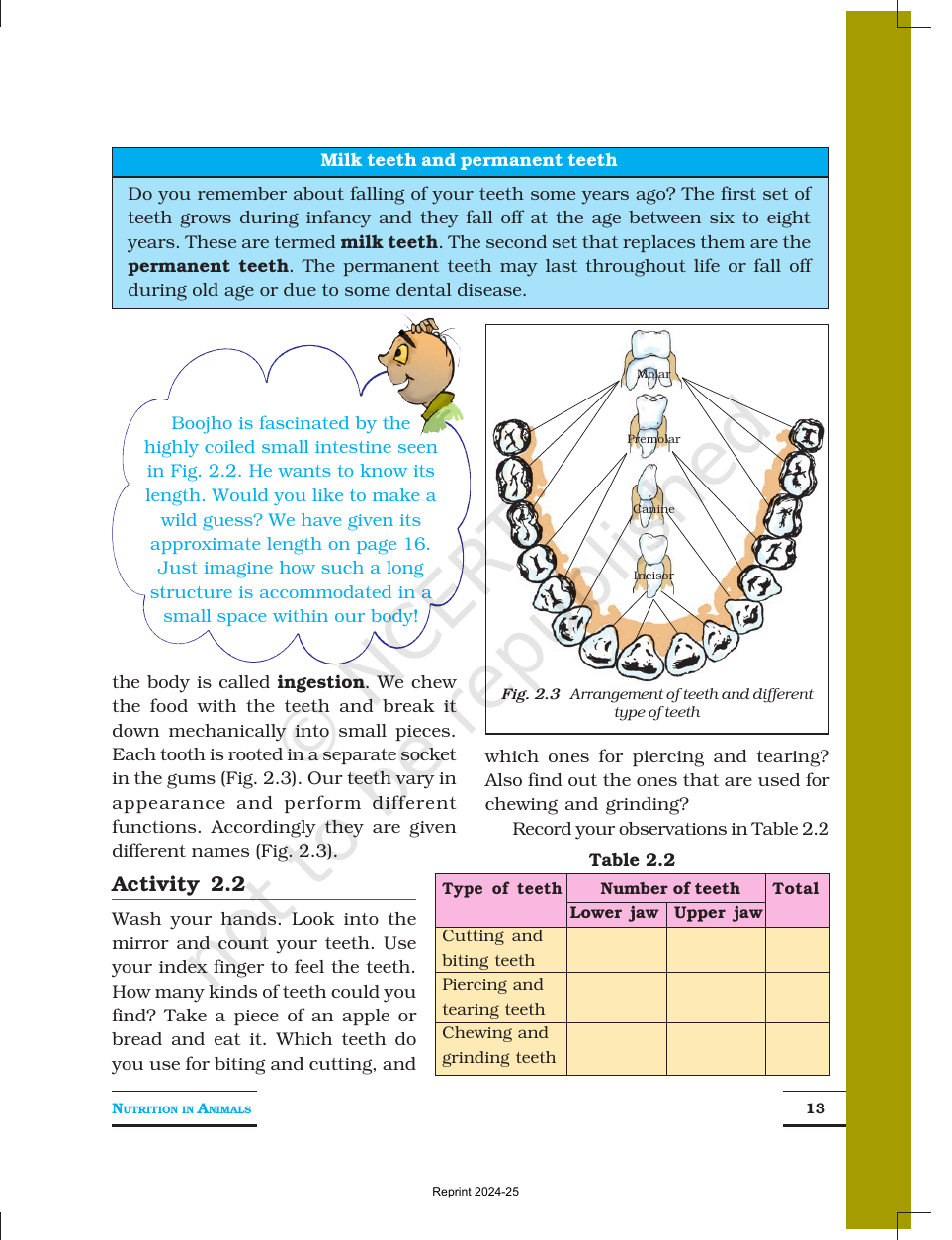 Page 3 of Nutrition in Animals
