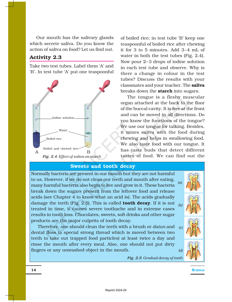 Page 4 of Nutrition in Animals