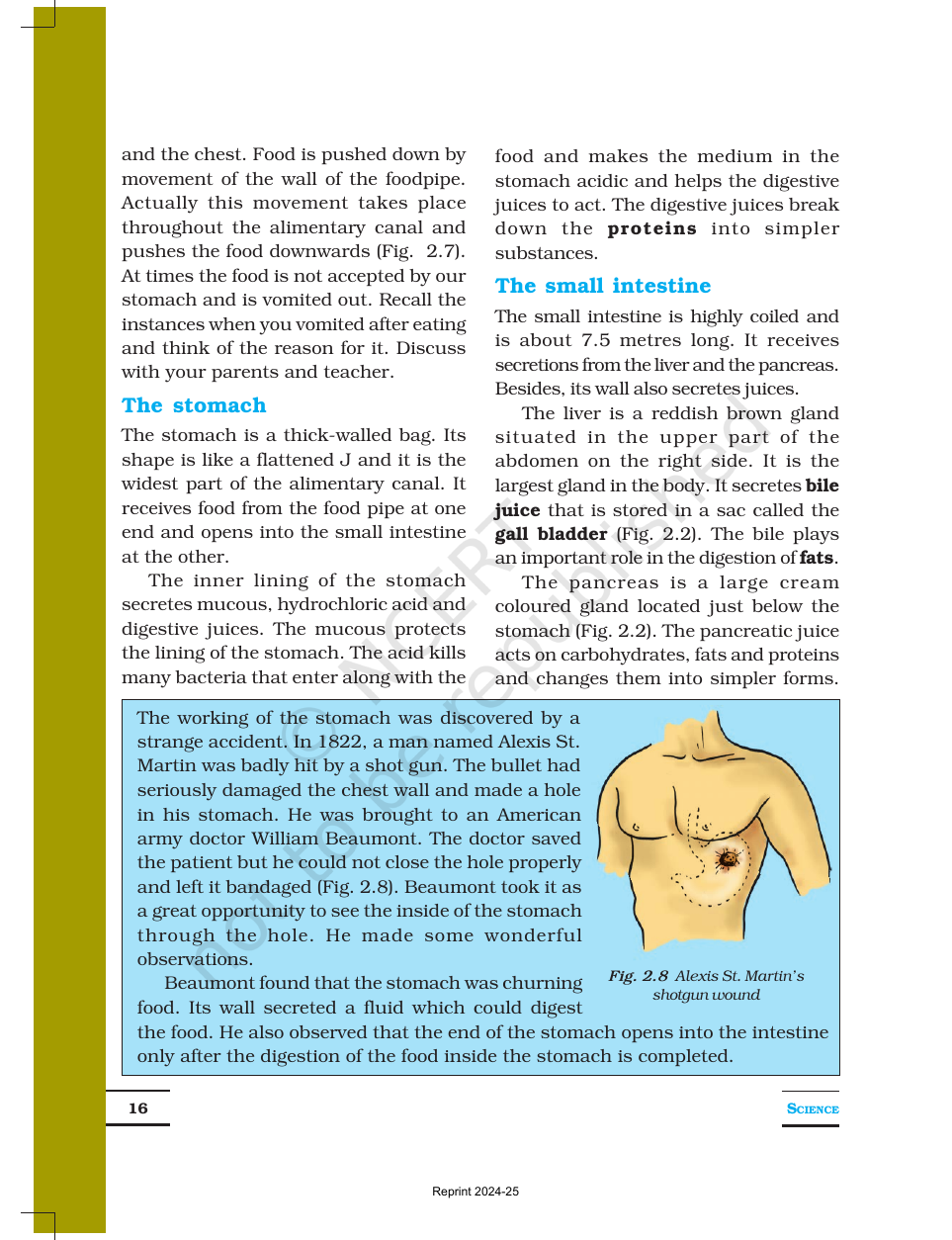 Page 6 of Nutrition in Animals