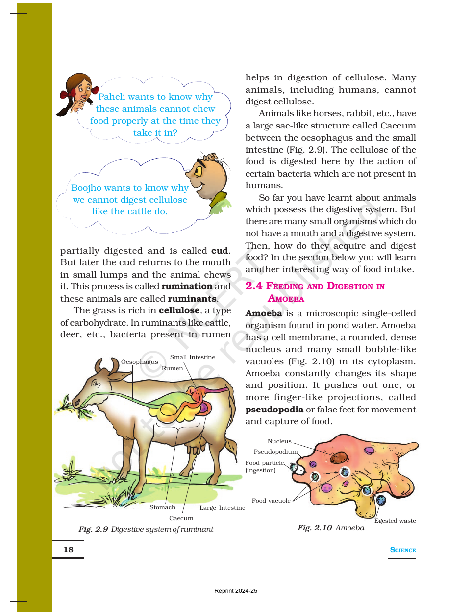Page 8 of Nutrition in Animals