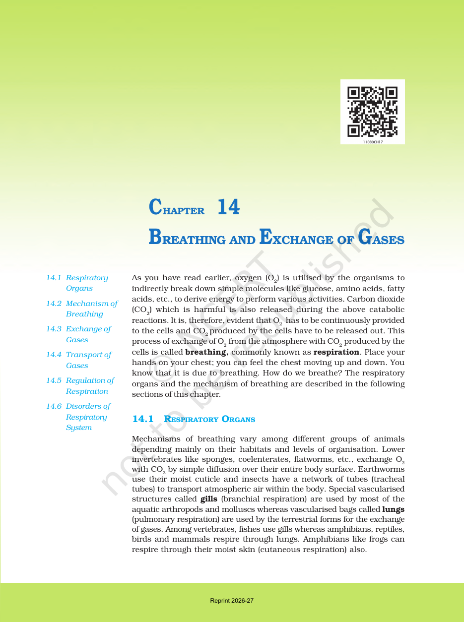 Page 3 of Breathing and Exchange of Gases