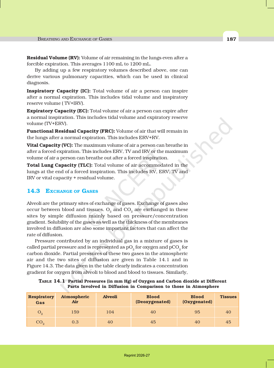 Page 7 of Breathing and Exchange of Gases