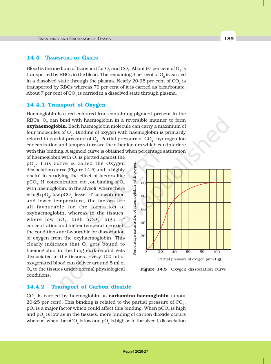 Page 9 of Breathing and Exchange of Gases