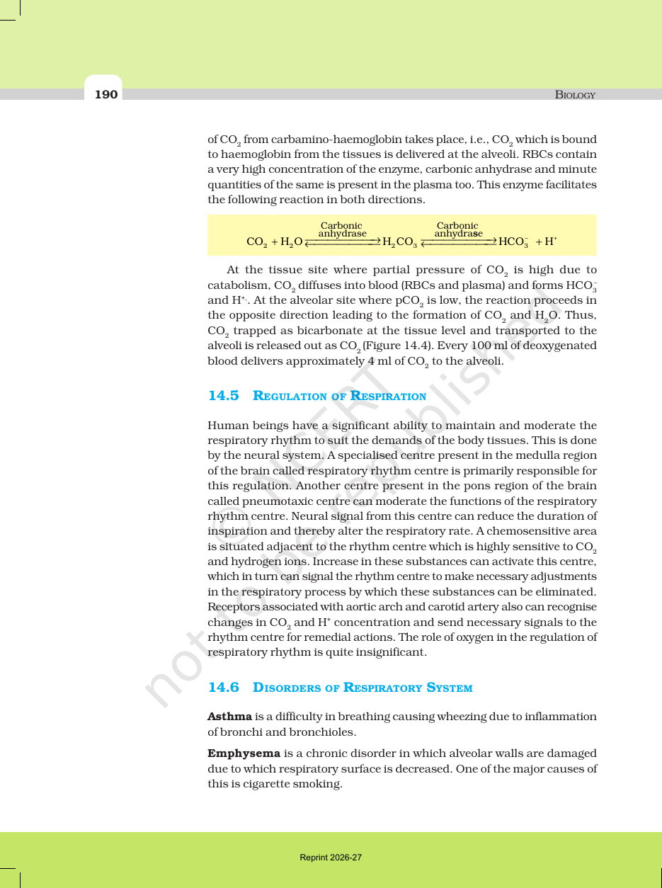 Page 10 of Breathing and Exchange of Gases