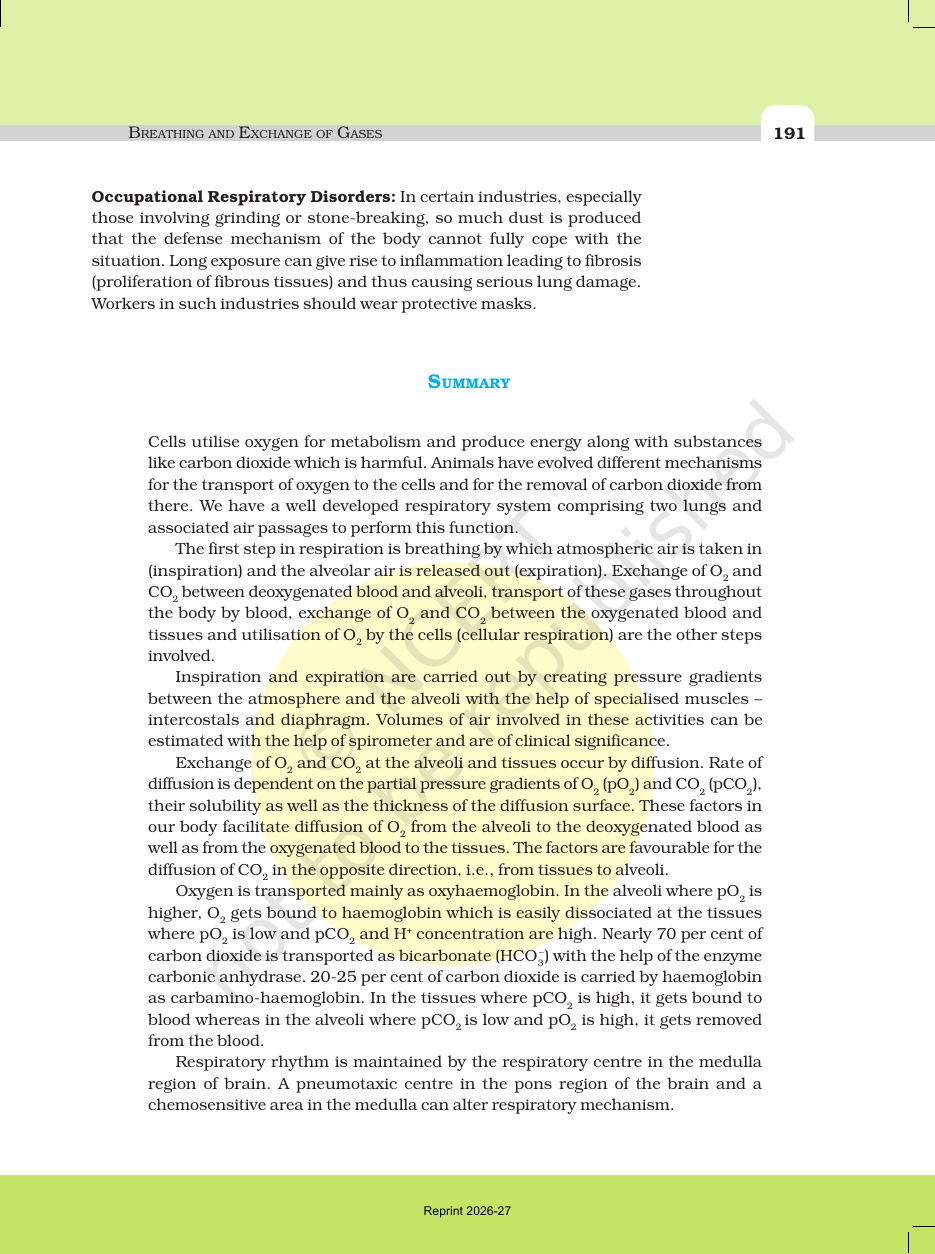 Page 11 of Breathing and Exchange of Gases