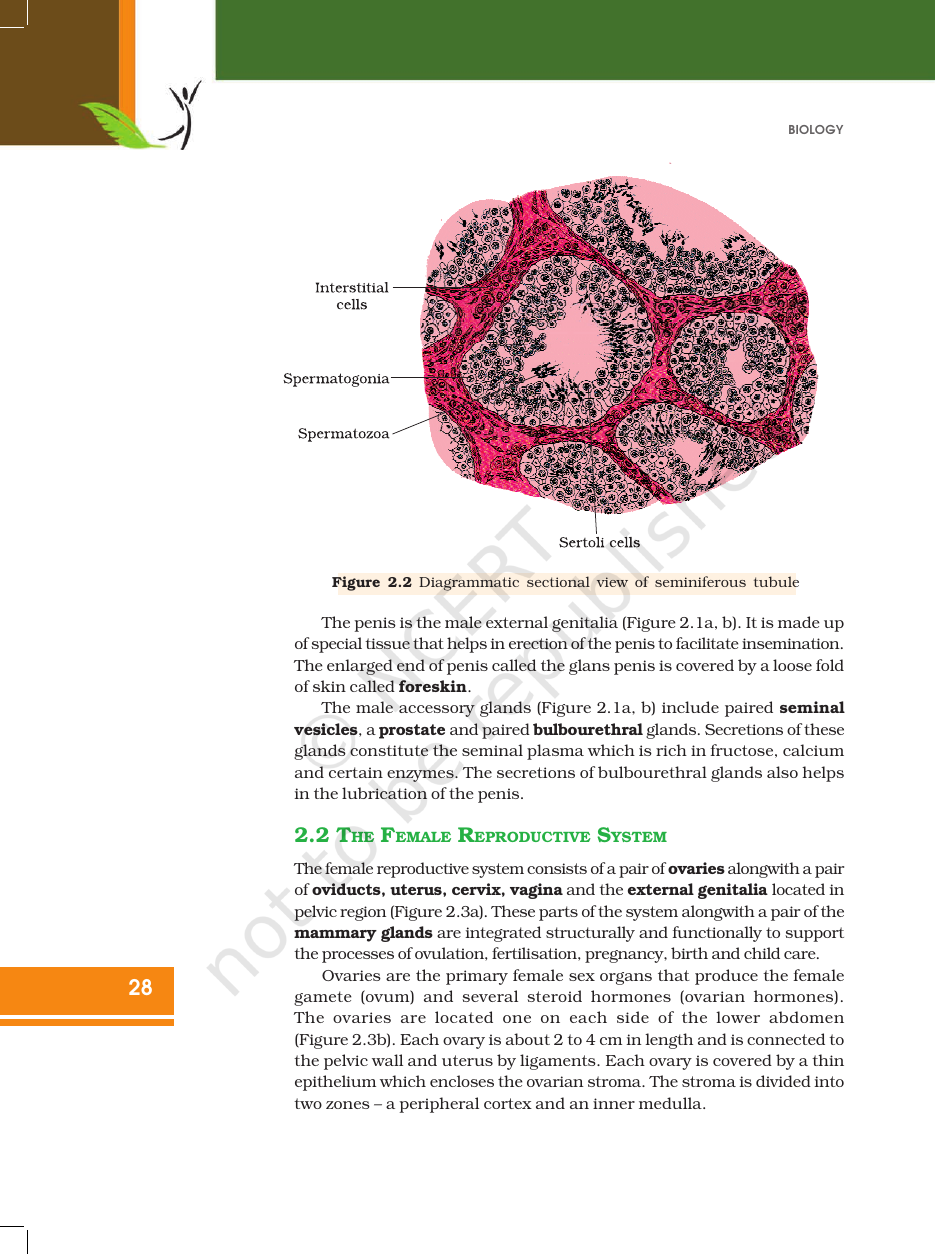 Page 3 of Human Reproduction