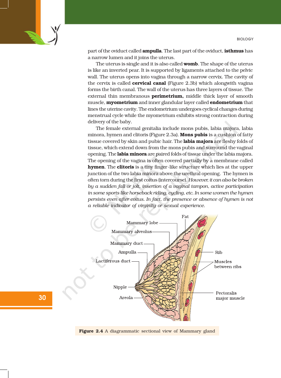 Page 5 of Human Reproduction