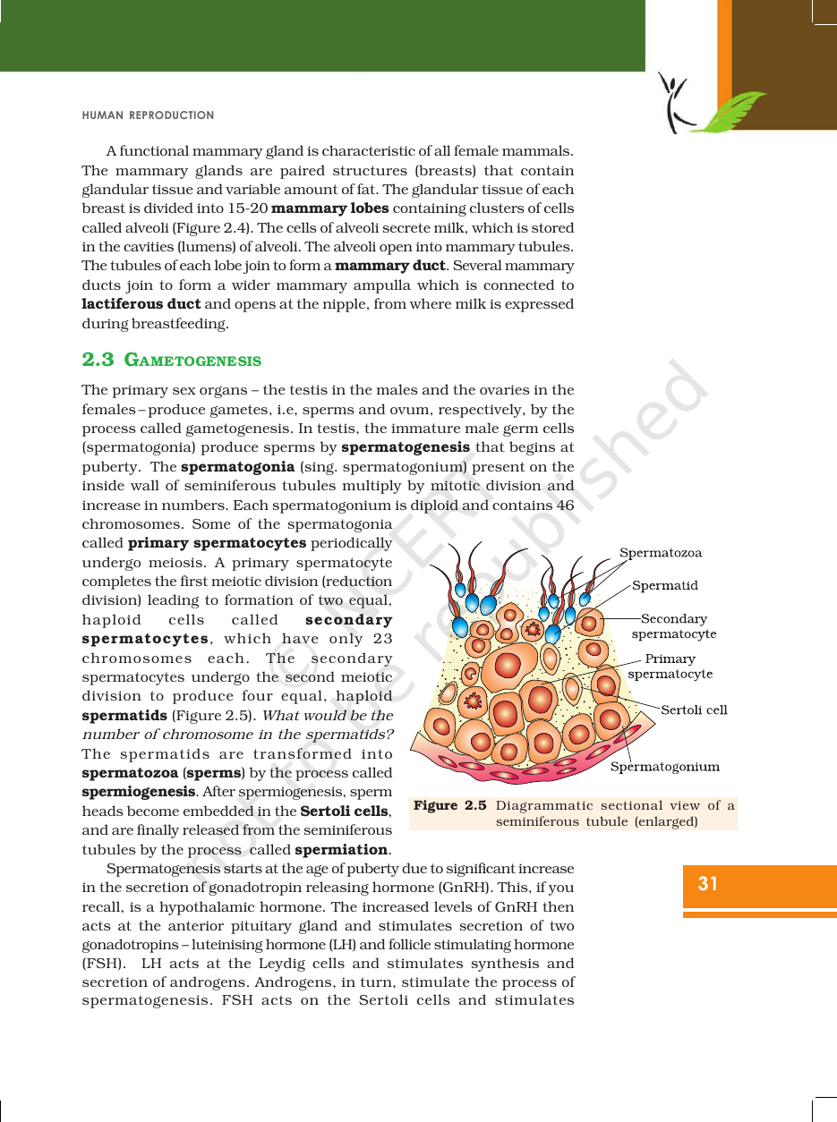 Page 6 of Human Reproduction