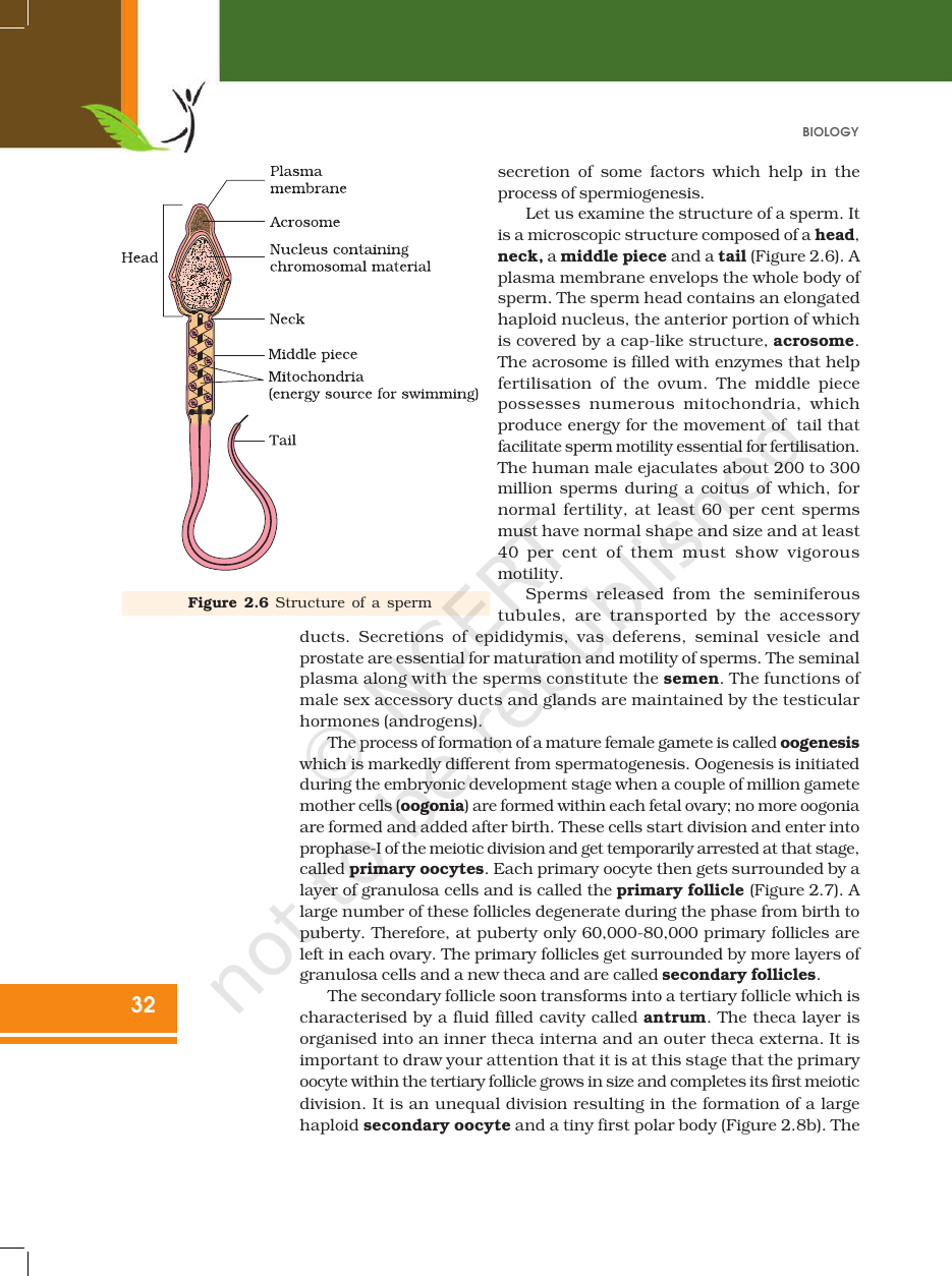 Page 7 of Human Reproduction