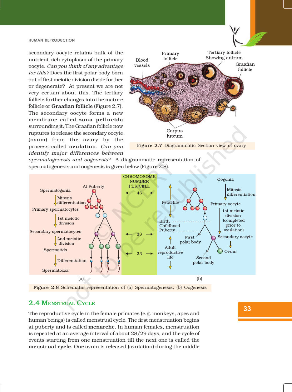 Page 8 of Human Reproduction