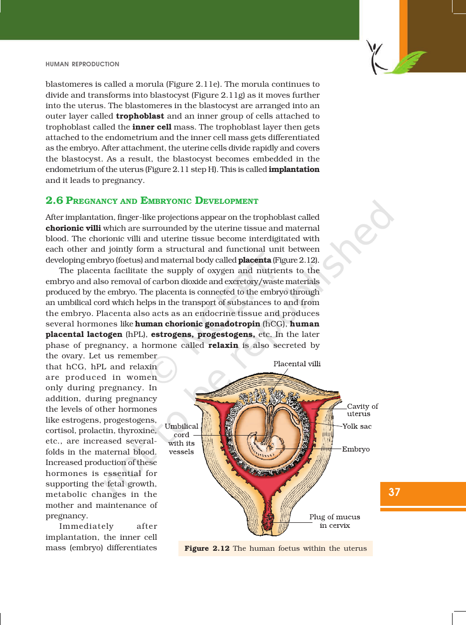 Page 12 of Human Reproduction