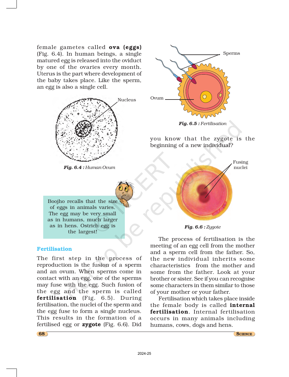 Page 3 of Reproduction in Animals