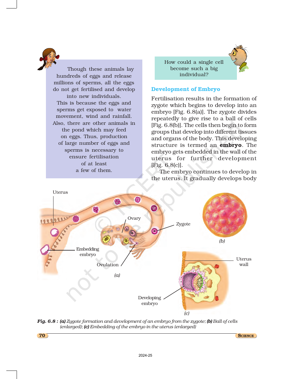 Page 5 of Reproduction in Animals